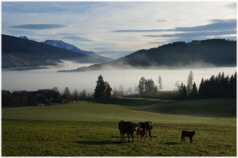 Alpin Apart Flachau Exterior foto